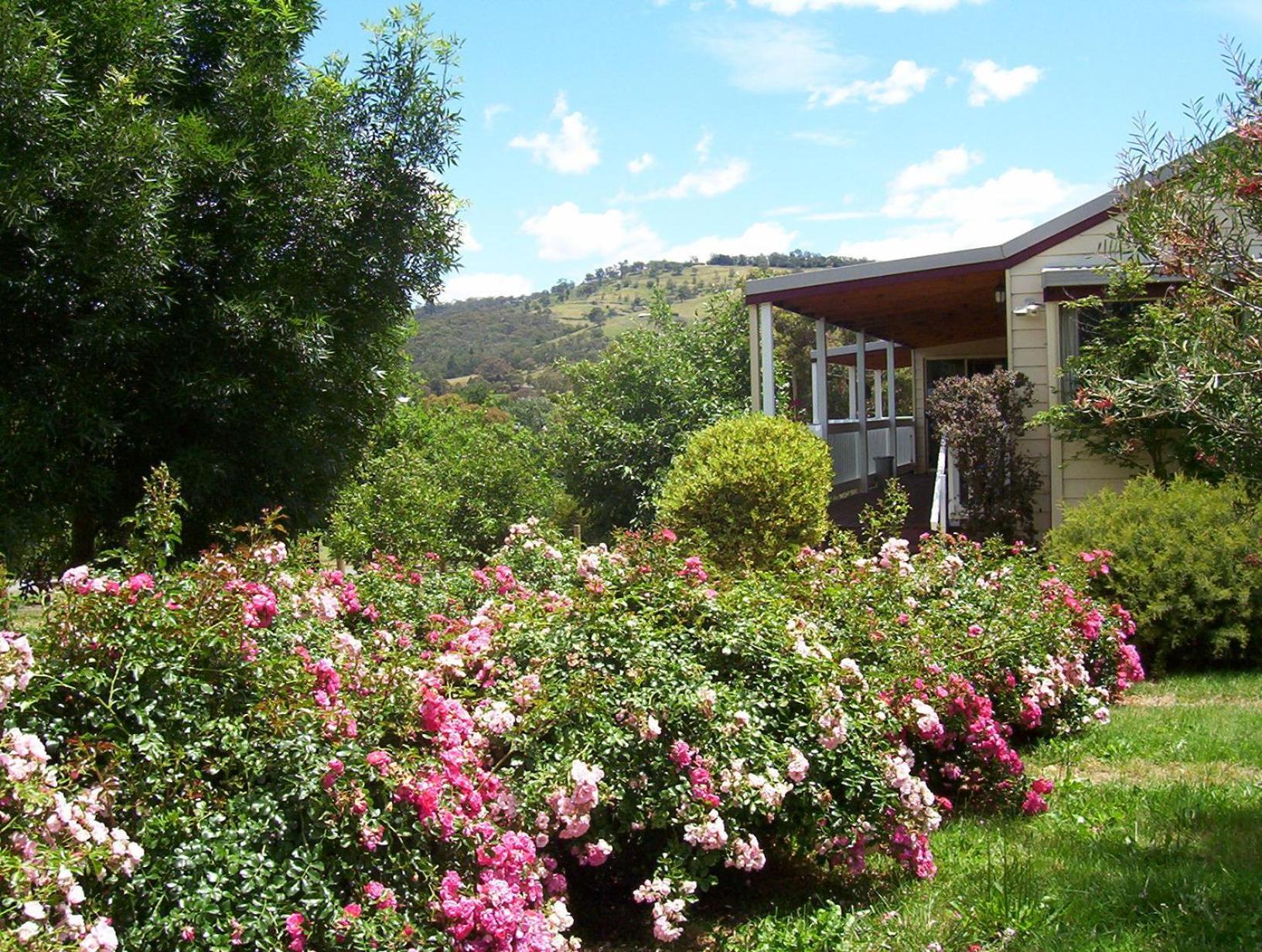 Yarra Glen Bed & Breakfast Екстериор снимка